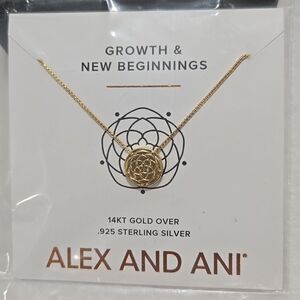 Alex and Ani 14k Gold And 925 Silver Necklace